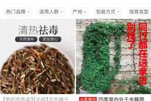 视频号大航海时代到来，找准热点紧跟热门，月入上万并不难！