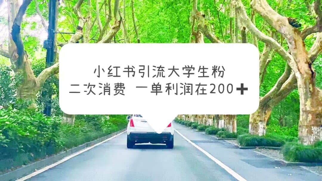 小红书引流大学生粉,变现项目,一单利润在200 (教程 资源)