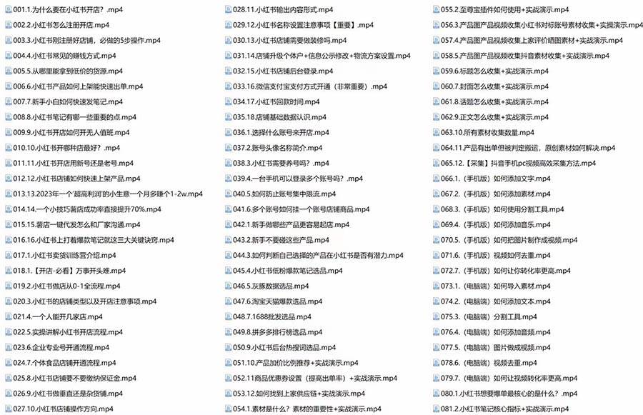 新个体·搞钱-小红书训练营:实战落地运营方法,抓住搞钱方向,每月多搞2w—暮沉资源站