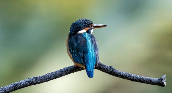 赚网全指南：汇集网赚资料，引领您走进网赚世界