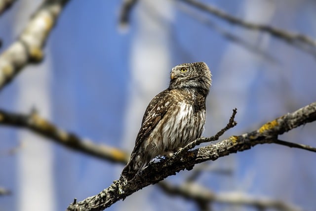 挖掘创业商机:如何寻找有潜力的创业项目