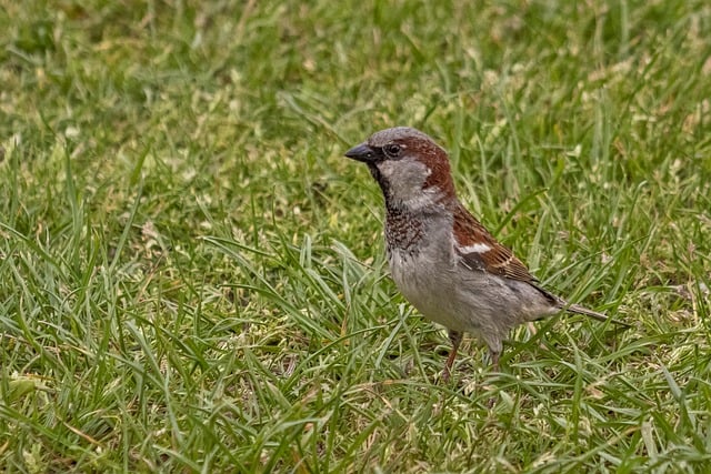 好生意推荐：小本投资，利润丰厚，适合小县城的创业项目—暮沉资源站