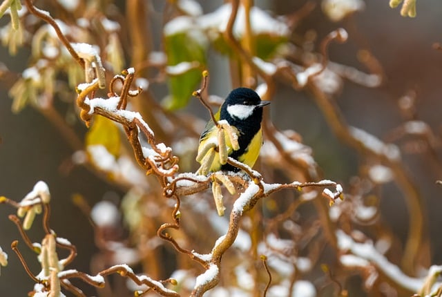 大学生如何理财赚钱?实用策略助你财富增值