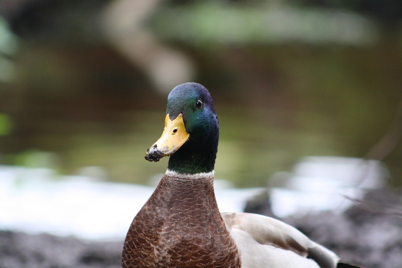 一公斤网赚论坛：集结网赚高手，共同探讨创业项目