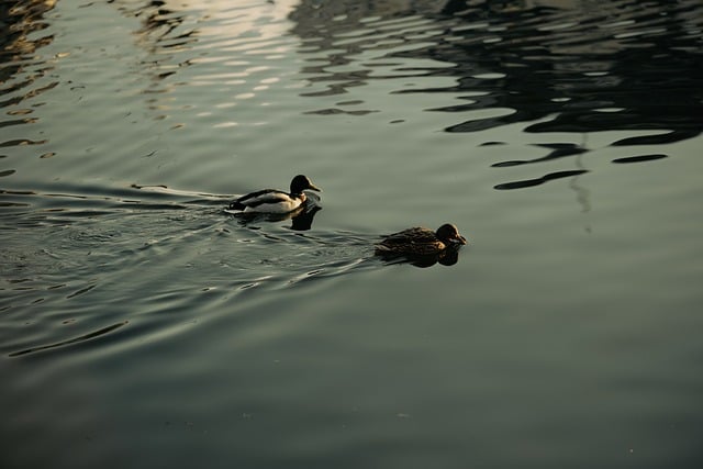 创网专访：赚钱信息一手掌握，创业之路更顺畅