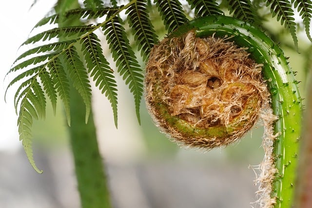 深入一公斤网赚论坛：发现网赚创业的无尽可能性—暮沉