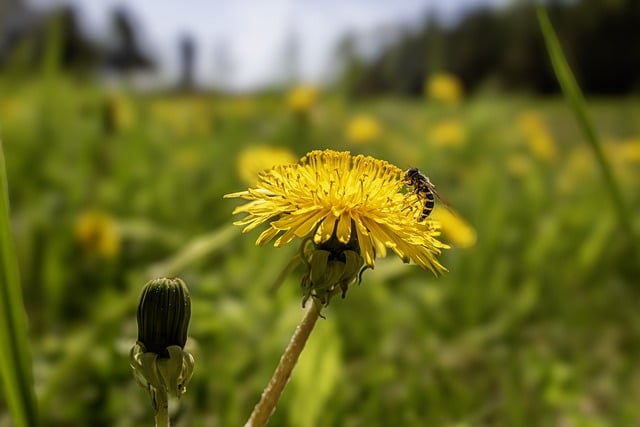 网赚社区力量大：汇聚志同道合的创业者，共铸辉煌未来