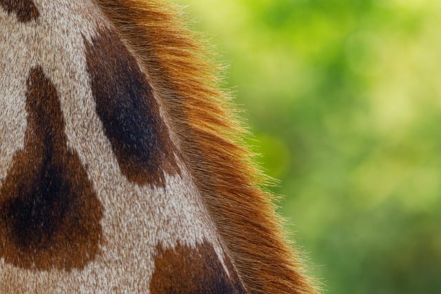 大学生创业项目推荐，校园内也能成就辉煌