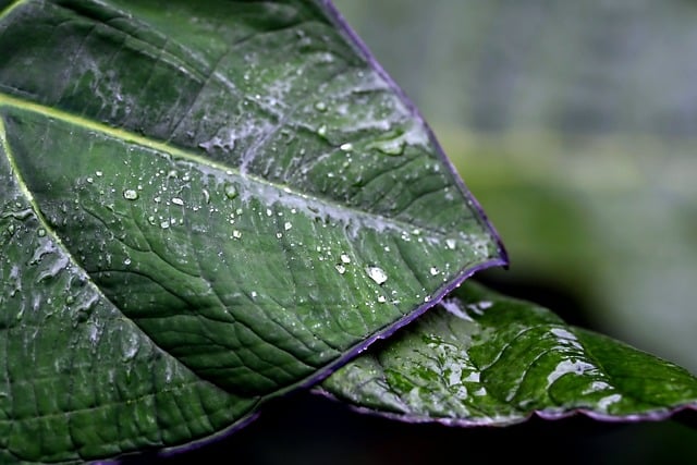 新手网赚论坛：引领入门，零基础也能轻松上手