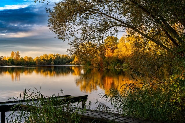 网赚培训与创业故事论坛——双重助力，成就创业梦想