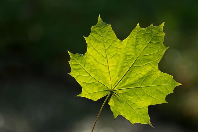 网上创业全攻略:免费网赚到网上工作赚钱,一站式全方位指导