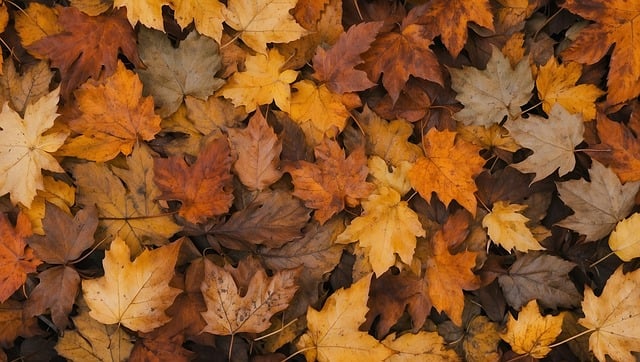 网上工作赚钱新思维：偏门生意与竞价赚钱的激情碰撞