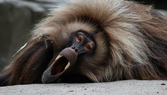 创业商机网精选:把握时代机遇,开启创业辉煌之旅