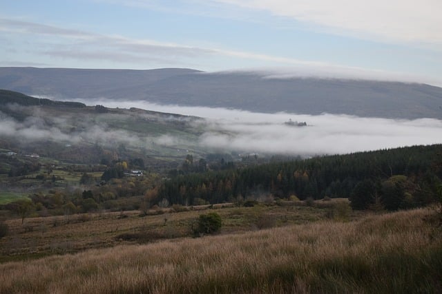 真正能赚钱的网上兼职推荐，让你轻松实现躺赚—暮沉