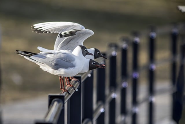 女生适合创业的5个项目,赚钱与自我提升两不误