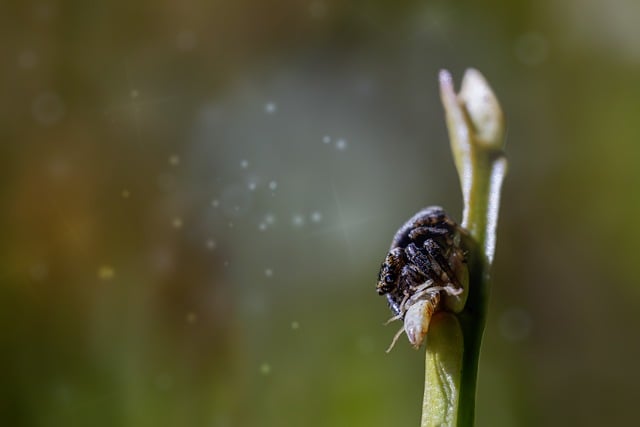 轻资产创业项目推荐：小本经营，收益不菲