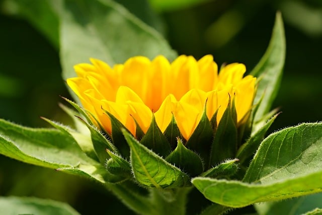 探索网赚兼职项目：新手如何在网赚社区起步？—暮沉