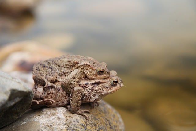 创业网大全精选：轻松创业项目与网赚资源的整合