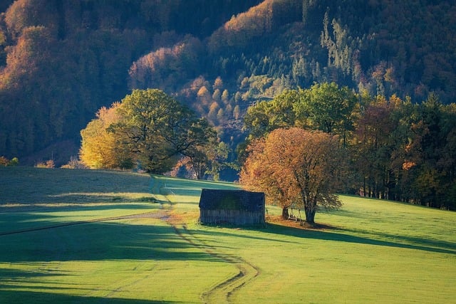 暮沉网创项目与金旋风网赚的完美结合：引领网络创业的新风潮