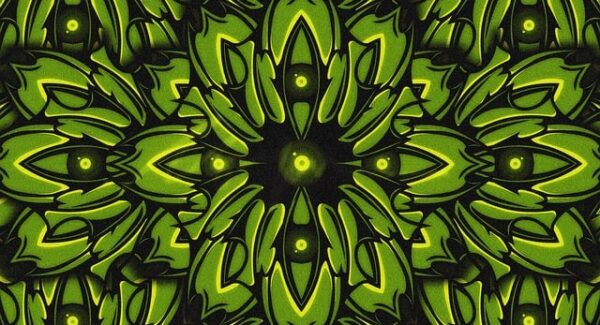 深度网赚论坛中的创业项目论坛：分享网络创业的实战经验