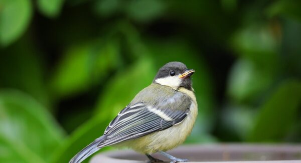 致青春网赚论坛实操教程：年轻就是赚钱的资本