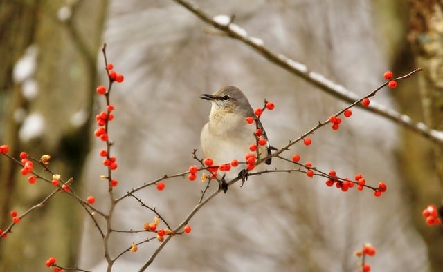 深度网赚论坛里的创业项目论坛：激发网络创业的火花