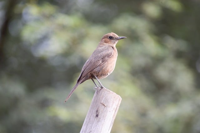 一公斤网赚论坛中的创业网络：发掘网赚创业项目的潜力