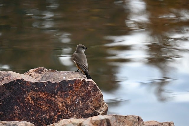 网络创业论坛指南：创业平台网助你飞翔—暮沉网赚