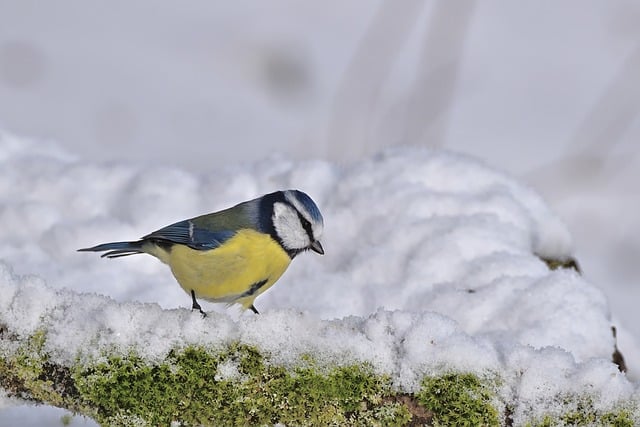 免费网上赚钱教程大放送：让你轻松实现零成本创业