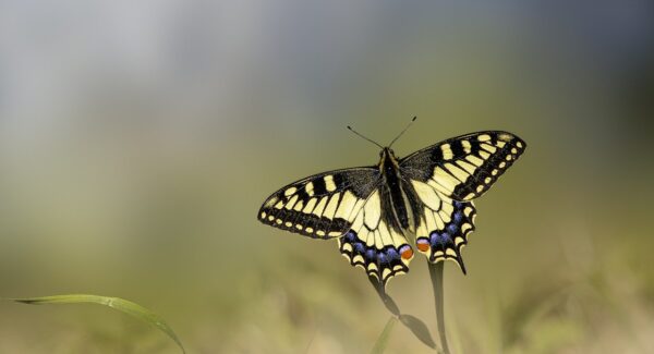 金色旋风网赚论坛中的网赚技术：引领网络赚钱的新风潮
