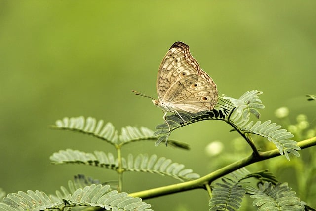赚网商城与中文网赚的完美结合：打造网络创业的新标杆
