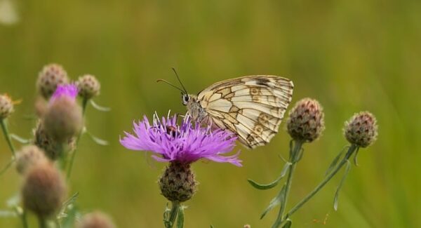 百度搜索大数据解析：如何把握网络赚钱的新机遇？