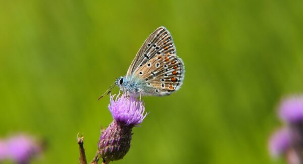 金旋风网赚论坛实战教程：带你走进网赚的世界