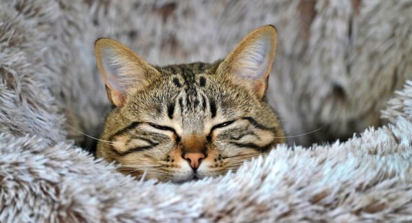 暮沉资源站与创业赚钱网的融合：发掘网络创业的蓝海与机遇