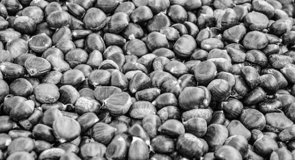 免费网赚项目大放送：实现零成本创业的秘诀