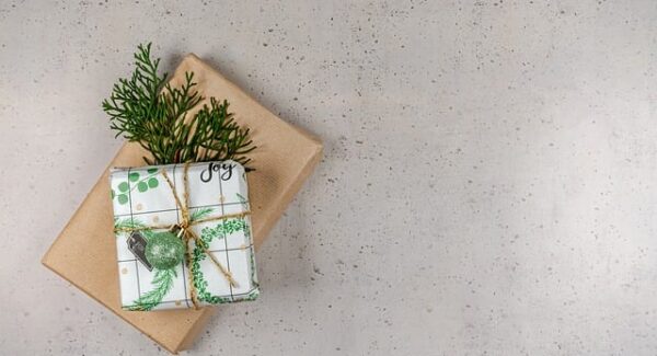 新手网赚论坛必备：从零开始的网赚之旅