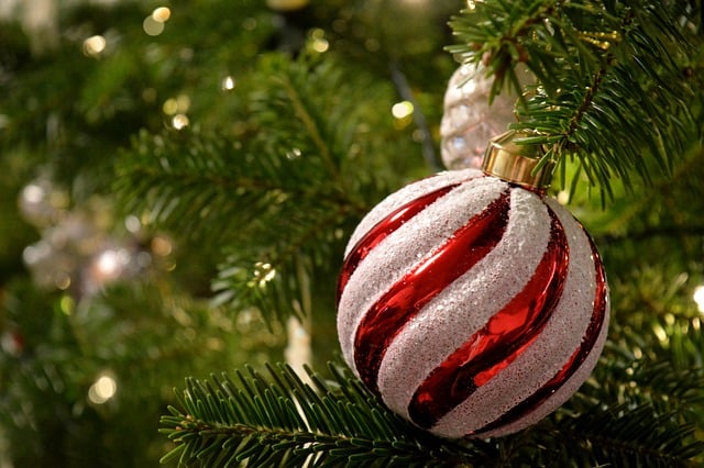 致富网赚论坛精选帖：揭秘暮沉资源站——让你快速积累财富的秘密武器