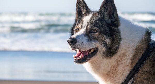 网赚创业网与站长网赚论坛的碰撞：分享网络创业的实战经验