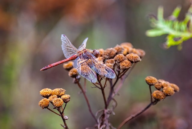 网赚创业网与站长网赚论坛的碰撞：分享网络创业的实战经验