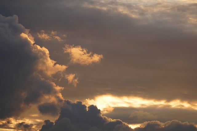 福缘网赚与网赚创业的完美结合：开启网络赚钱的新篇章