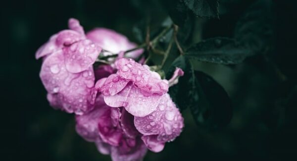 站长必备知识：如何在金色旋风网赚论坛中脱颖而出？