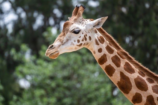 金色旋风与热门创业项目的碰撞：引领网络创业的新潮流