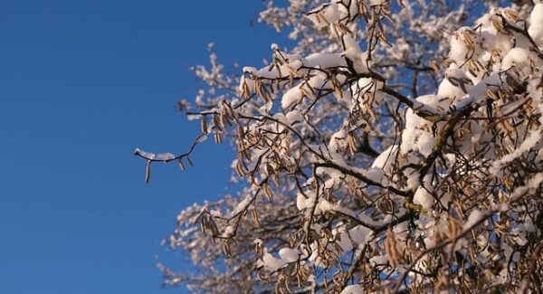 创业好项目论坛推荐：发掘最有潜力的创业机会——暮沉网赚