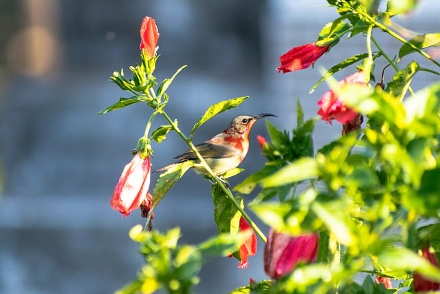 518网赚论坛独家解读：揭秘中文网赚的商机与策略
