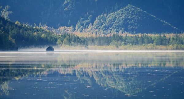 探索金旋网赚：网赚兼职项目的新天地