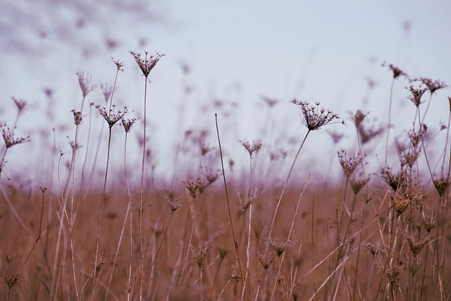 创业故事论坛中的网站赚钱：分享网络创业的点点滴滴的感悟