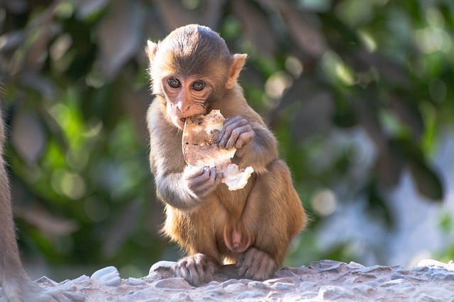 深度网赚论坛：开启创业网络的新篇章