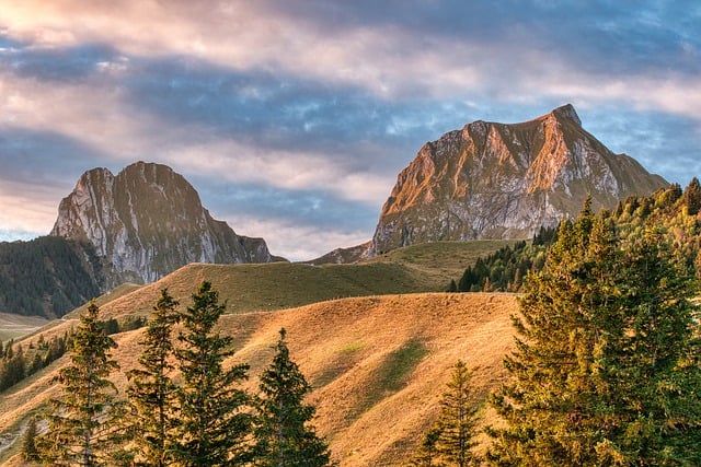 中创网热门项目中的网络竞价赚钱：发掘网赚的新机遇与挑战