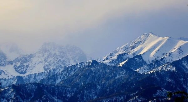 最新网赚项目大公开：让你先人一步实现财务自由—暮沉资源站