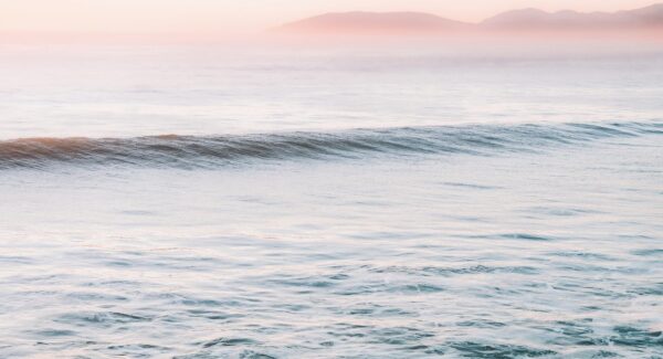 创业网论坛与创业好项目论坛：网络创业的策源地与智慧宝库